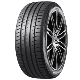 TRIANGLE EFFEXSPORT TH202 255/30R19 91Y XL ljetne gume