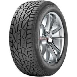 RIKEN SNOW 215/60R17 96H zimske gume