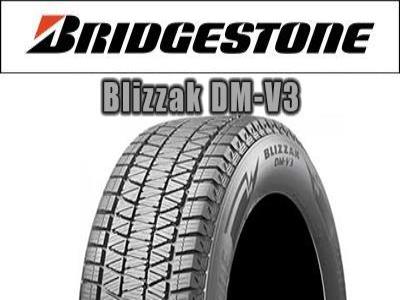 Bridgestone - Blizzak DM-V3