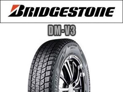 Bridgestone - DM-V3