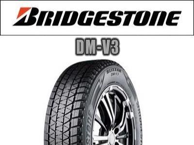 Bridgestone - DM-V3