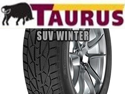 TAURUS SUV WINTER