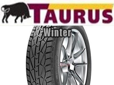 TAURUS WINTER