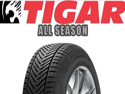 Tigar - ALL SEASON